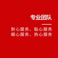 專(zhuān)業(yè)團(tuán)隊(duì)